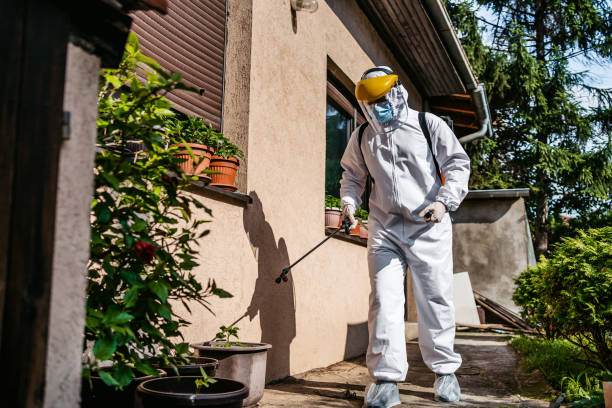 Best Affordable Pest Control Services  in Berryville, AR