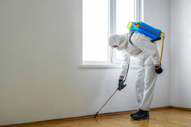 Pest Prevention Services in Berryville, AR