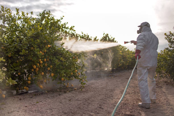 Best Insect Control  in Berryville, AR