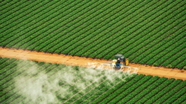  Berryville, AR Pest Control Pros