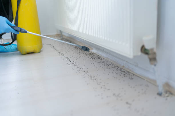 Best Pest Control Near Me  in Berryville, AR
